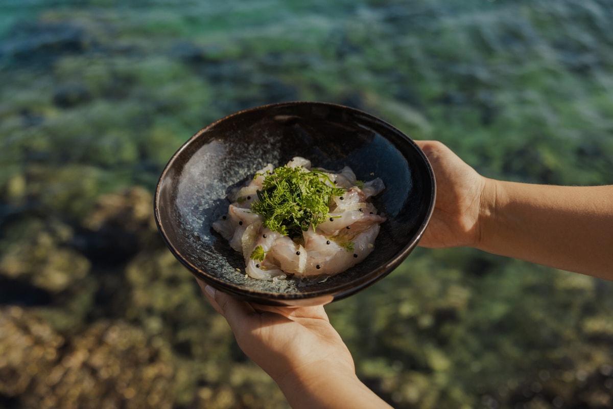 Fresh dish served by the sea